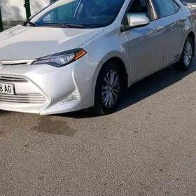 Toyota Corolla 2016