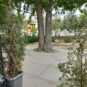 Satlyk 30mkr Beyik/ Квартал Вы