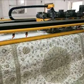 HIMÇISTKA PÄKLIK HALY MOÝKA