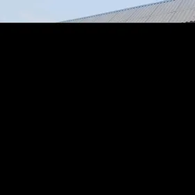 Eyesinden kreÿne jay Dusak oba