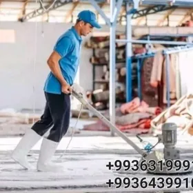 Haly moýka ковров химчистка