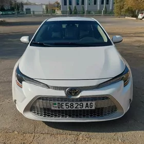 Toyota Corolla 2020