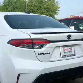 Corolla Spoiler Banan