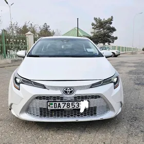 Toyota Corolla 2021