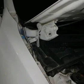 Lexus (kriplenya petle) kapot