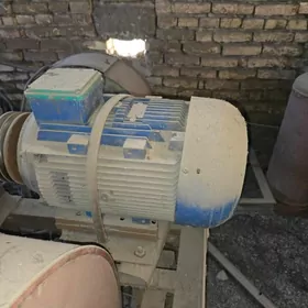 dwigatel двигатель motor