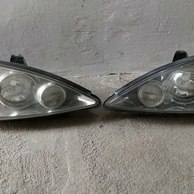 Duty canry fary haliji