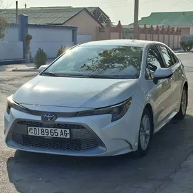 Toyota Corolla 2020