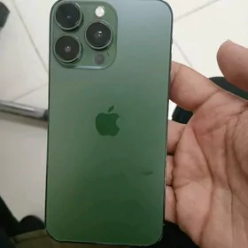 Iphone 13 pro Xs den owrlen