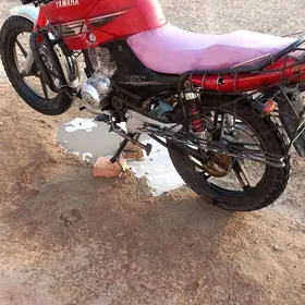 Fekon FK200-14G 2022