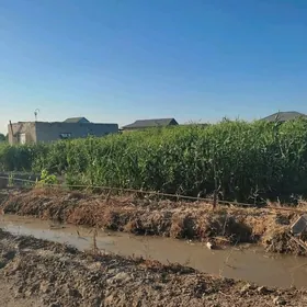 Сатлык Участка