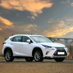 Lexus NX 300 2020