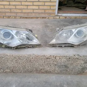 Palta camry on cyra le