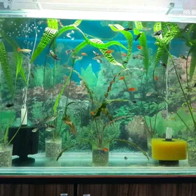 аквариум 200 литр