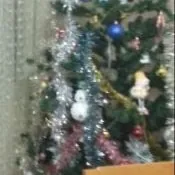 ёлка новогодняя