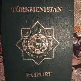 PASPORT YITDI