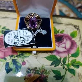 hyzyl gyzyl Yüzik Pauk cccp