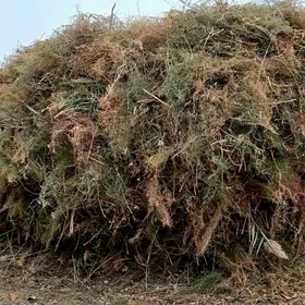 Ýandak satilýar Ot