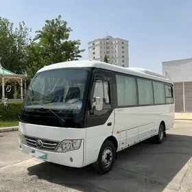 Toyota Coaster 2023