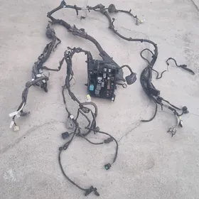 Tok şit 2014 Corolla