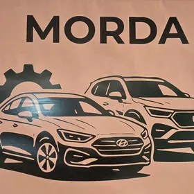 Kia Hyundai Morda