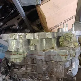 Lexsuz RX 2023 karopk