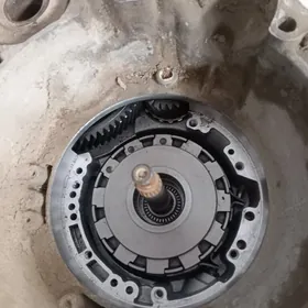 Karopka hundai aftamat