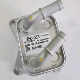 HYUNDAI KIA KULLER MATOR KKP