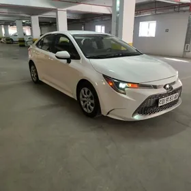 Toyota Corolla 2020
