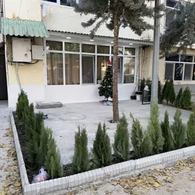 Çehow Engels Чехов Энгельс