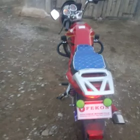 Fekon FK200-14G 2022