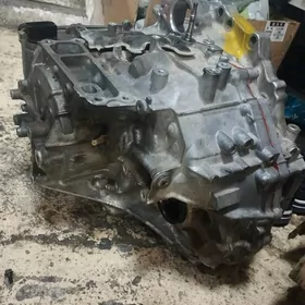 karopka sekiz skor higlander