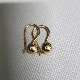 Gyzyl Gulakhalka Chaga