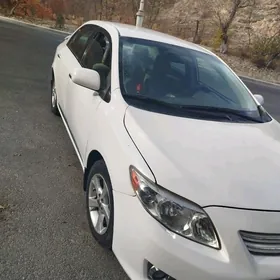 Toyota Corolla 2010