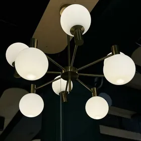 Skidkadaky lýustralar