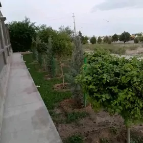 Bagban ,,садовник""