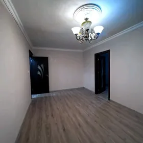 șaýoly elitka 5kom Ленина 5ком