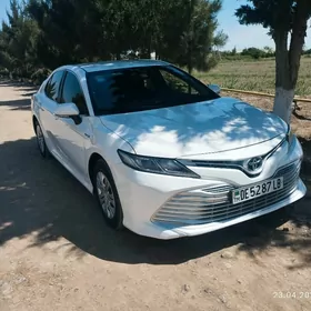 Toyota Camry 2020