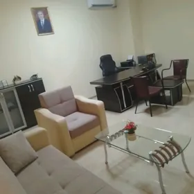 Arende ofis gerek eýesinden