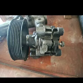 Rulewov revka nasos bejervas