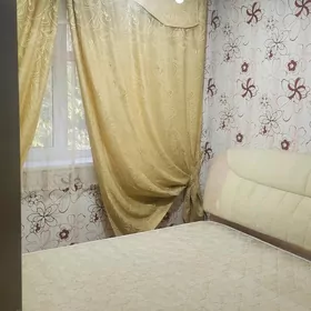 Buzmeyin Gress 1 Kom.Gunes kot