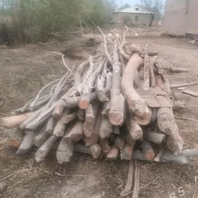 Сатлык Хадалар