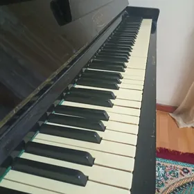 belarus gara piano