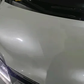 Sienna XLE kapot 18 yyly