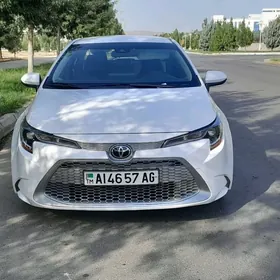 Toyota Corolla 2021