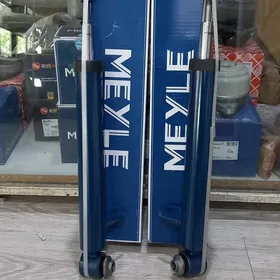 Amortizator BMW X5 E70 yzy