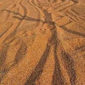 Mekge däne, mekge silos