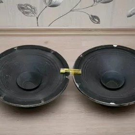 Динамики 30ГД-301