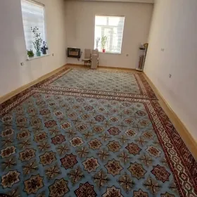 haly turkmenistan 4/3.5: 2sany