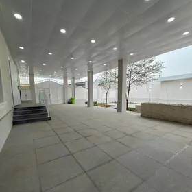 5 Sotok Gyssag Yola YaKyn 